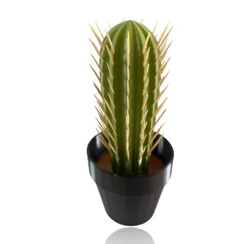 Cactus Toothpick Holder, 3D Printed Cactus Toothpick Dispenser, House Plant  Too